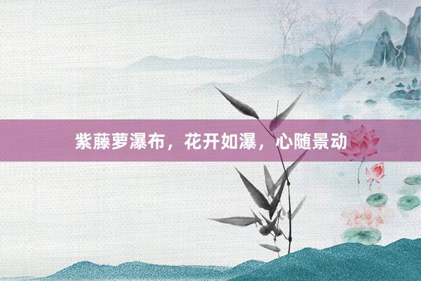紫藤萝瀑布,花开如瀑,心随景动