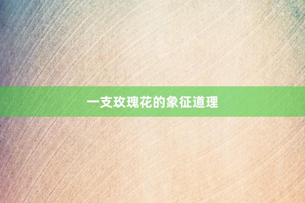 一支玫瑰花的象征道理