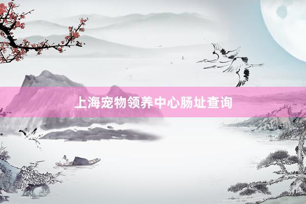 上海宠物领养中心肠址查询