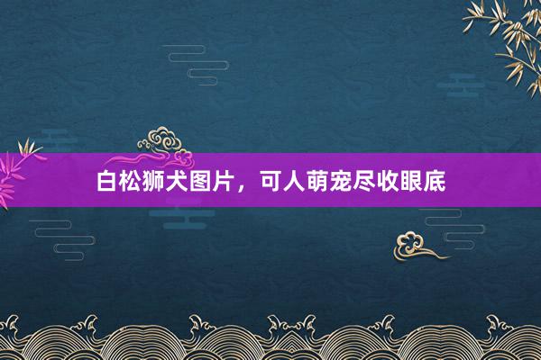 白松狮犬图片，可人萌宠尽收眼底